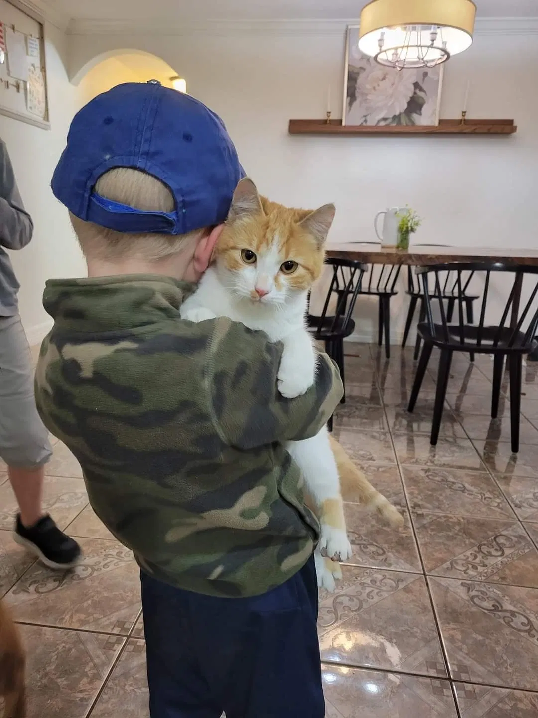 Lost cat in Bacliff, TX, 77518