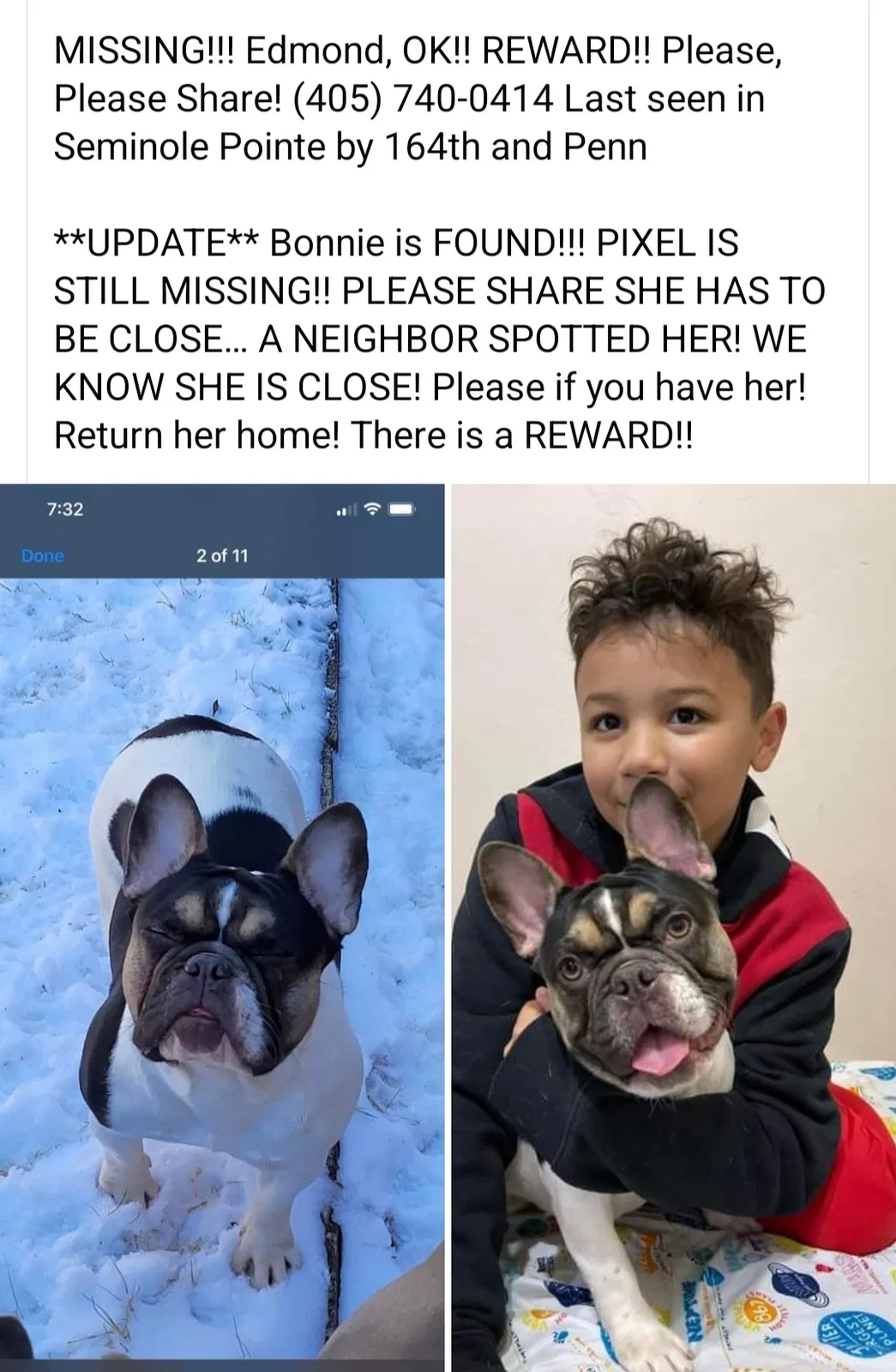 Lost dog in Oklahoma City, OK, 73101