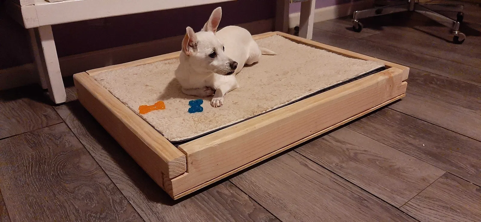 Lost dog in Visalia, CA, 93291