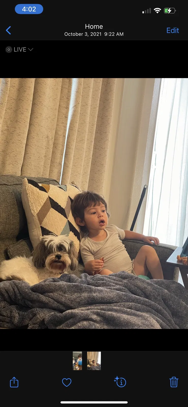 Lost dog in La Quinta, CA, 92253