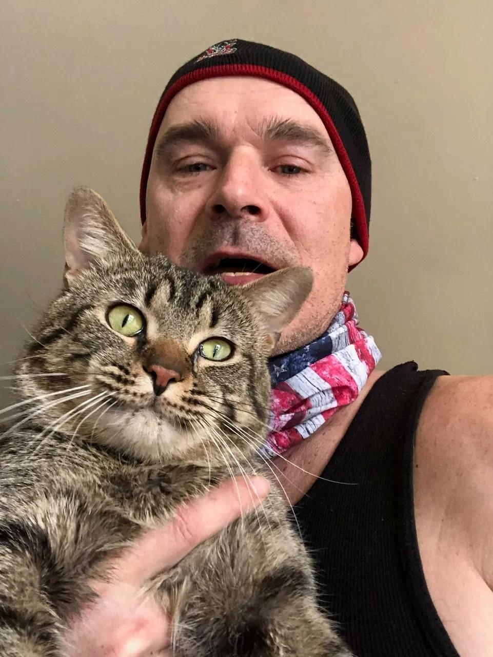 Lost cat in Kenosha, WI, 53144