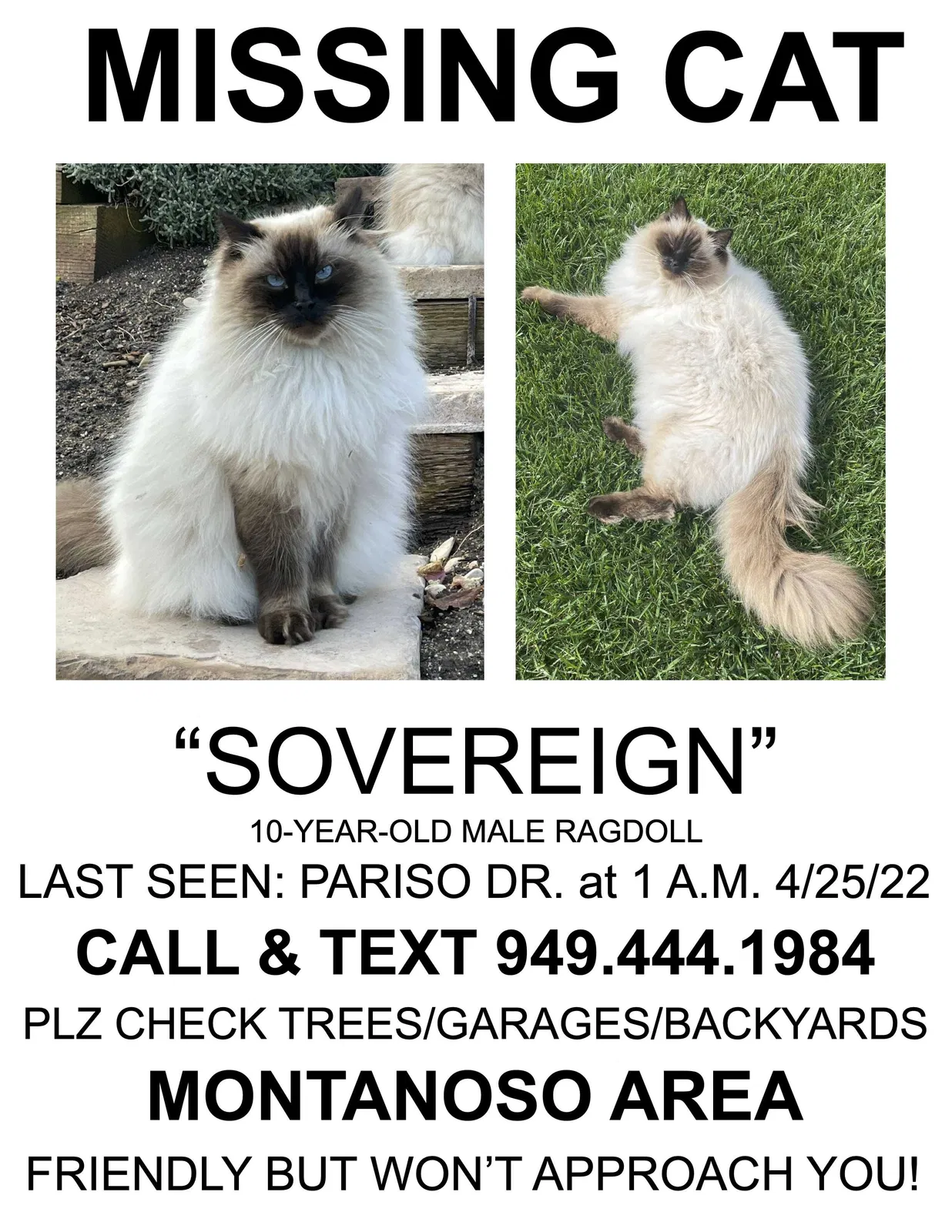 Lost cat in Mission Viejo, CA, 92691