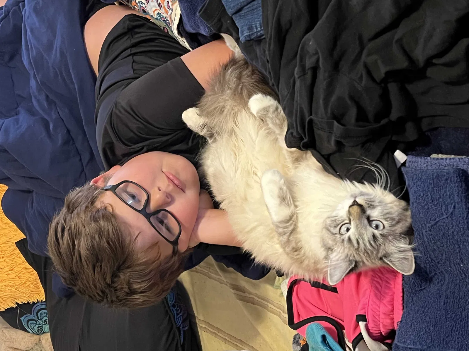 Lost cat in Norman, OK, 73026