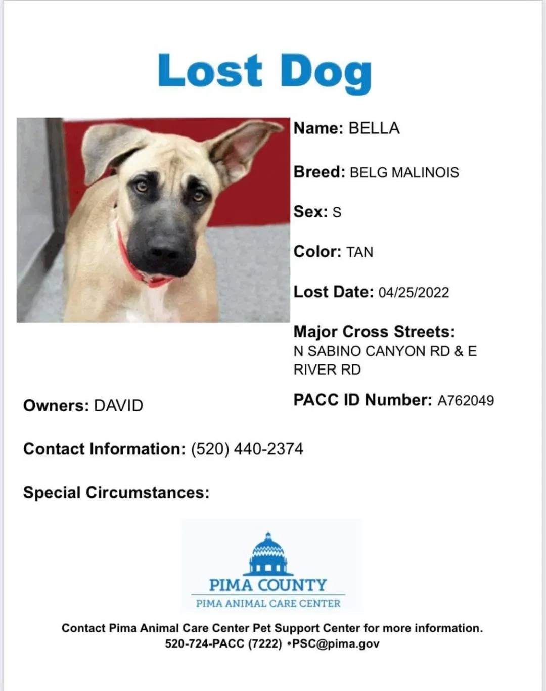Lost dog in Tucson, AZ, 85750