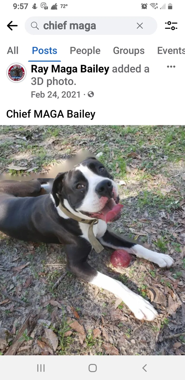 Lost dog in Pensacola, FL, 32514