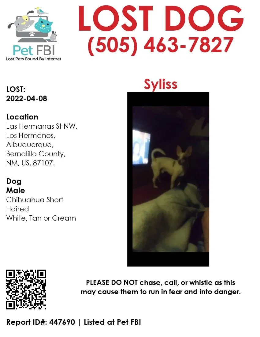 Lost dog in Albuquerque, NM, 87107
