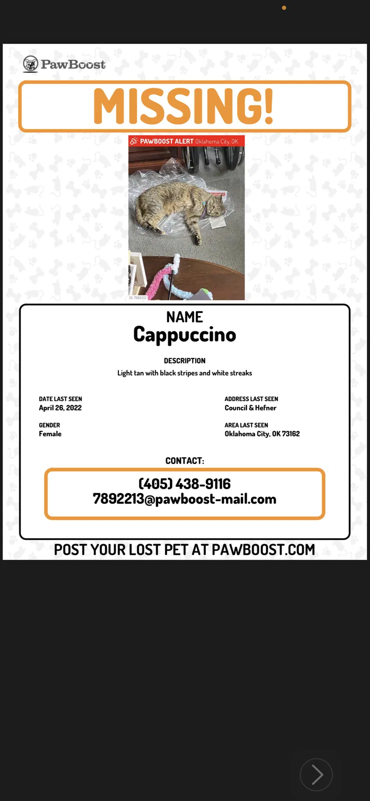 Lost cat in Oklahoma City, OK, 73162