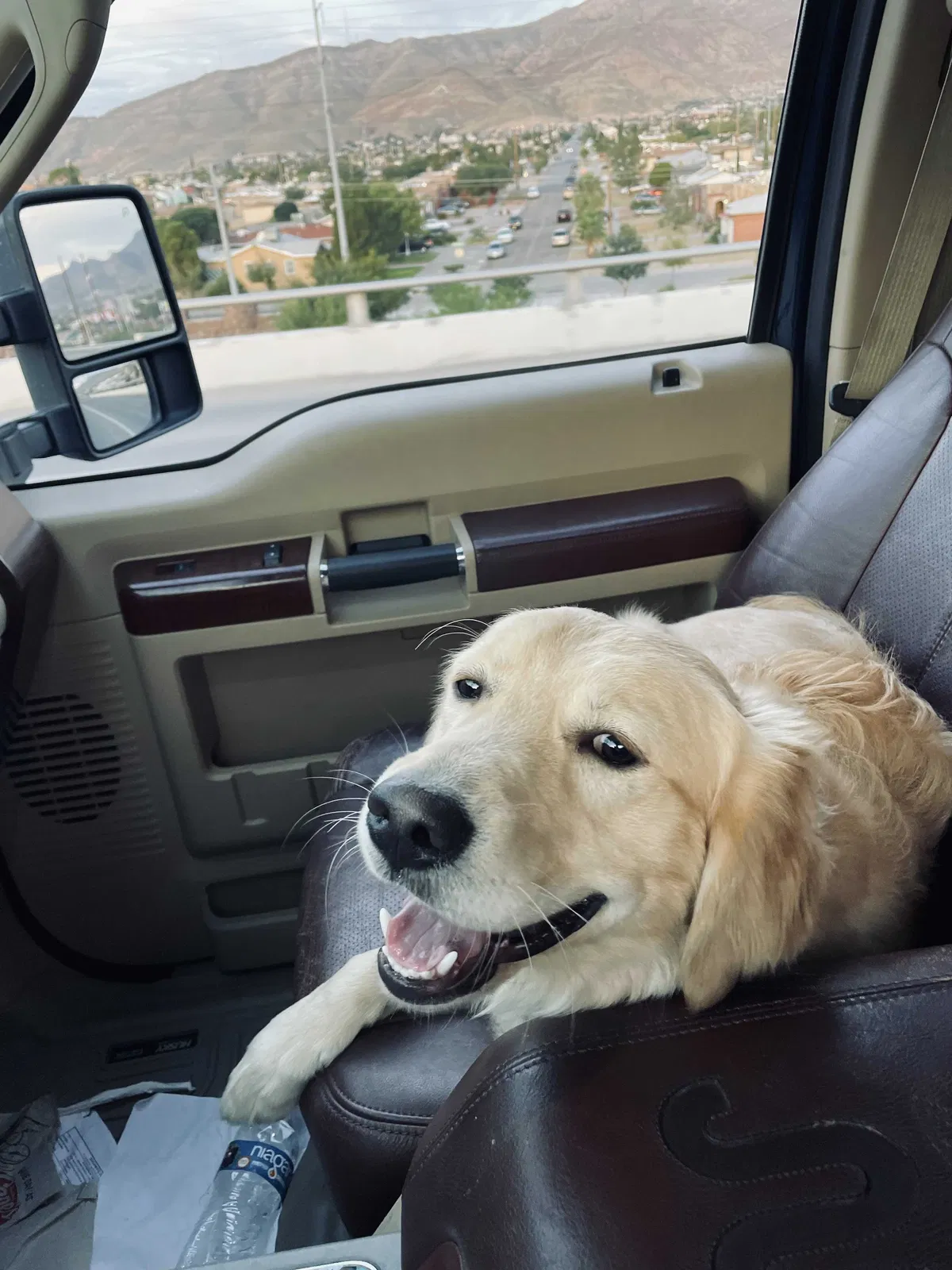 Lost dog in El Paso, TX, 79924