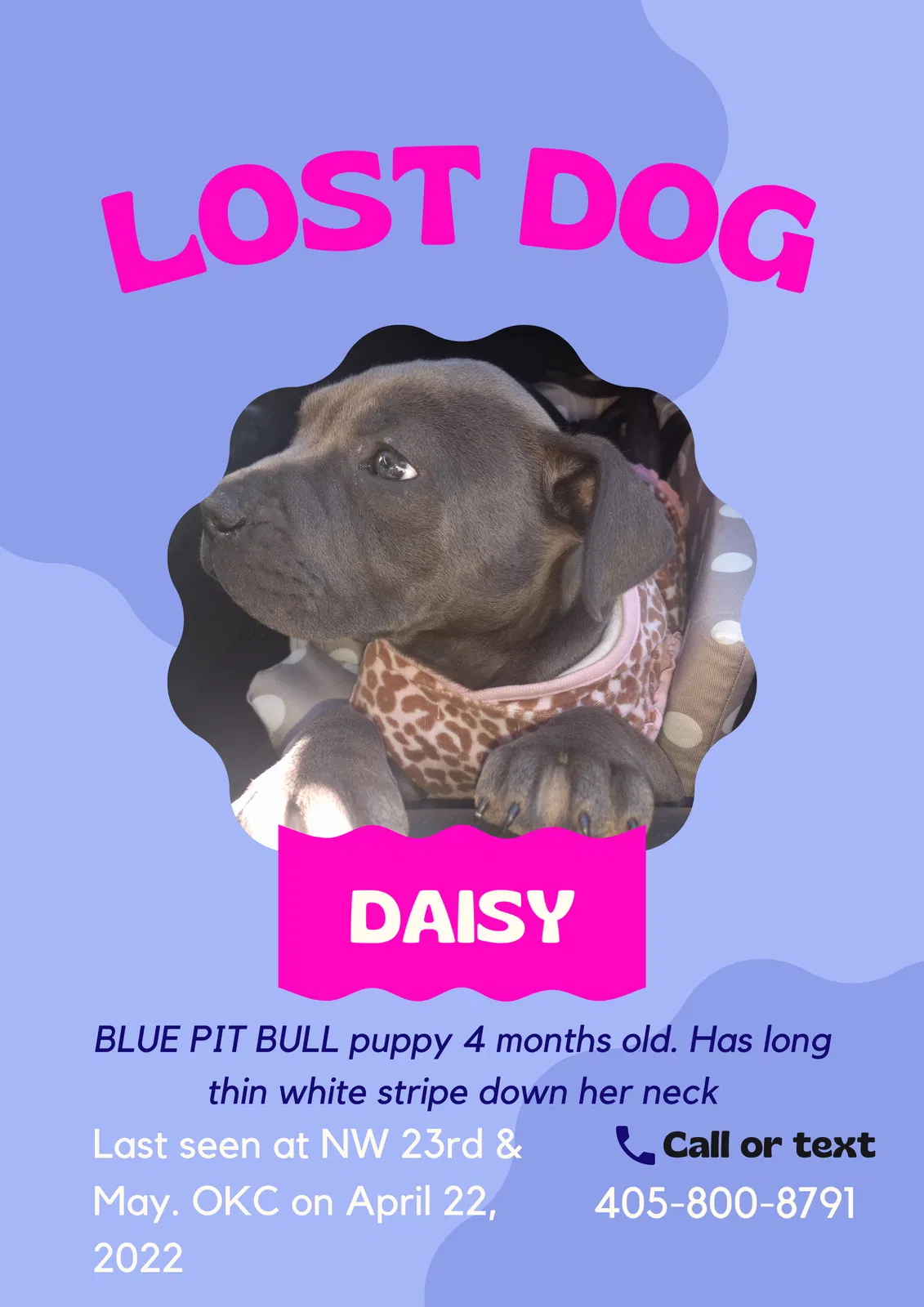Lost dog in Oklahoma City, OK, 73107