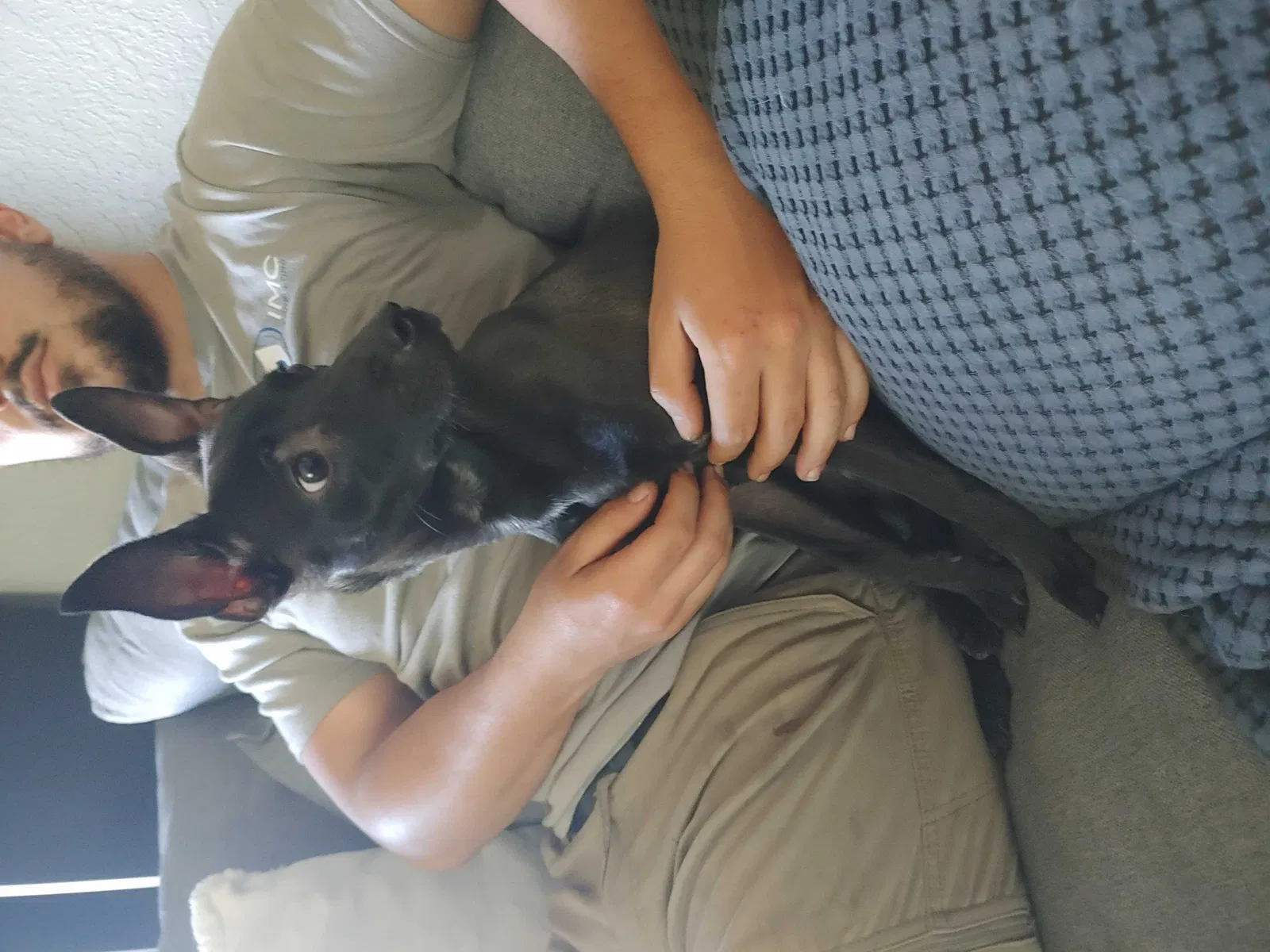 Found dog in Oklahoma City, OK, 73169