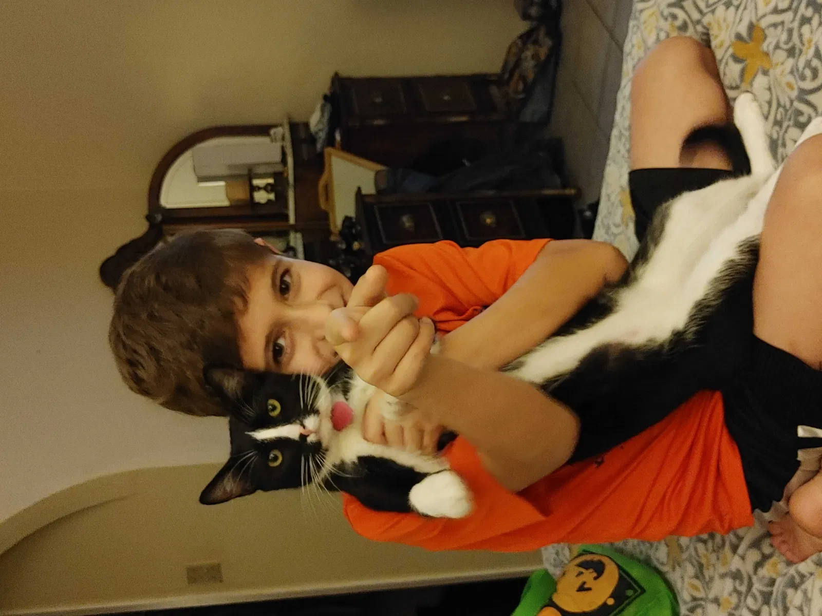 Lost cat in San Antonio, TX, 78251