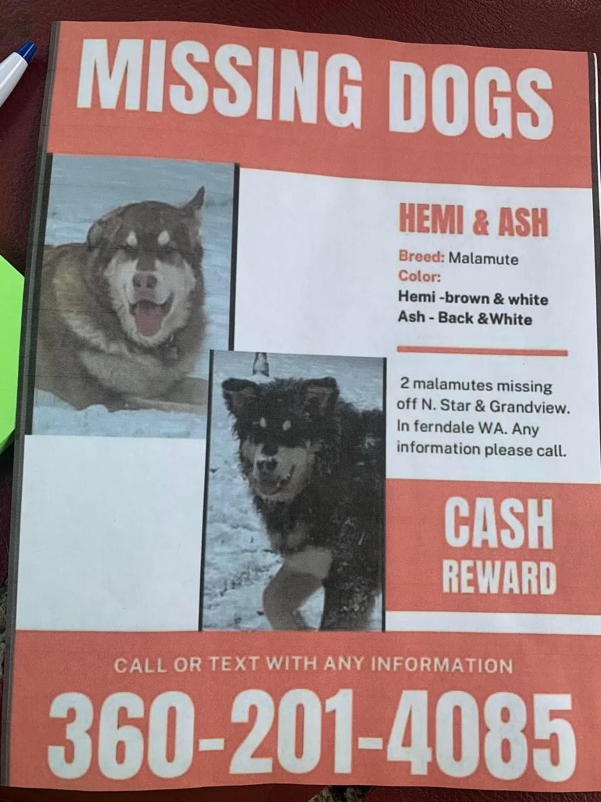 Lost dog in Ferndale, WA, 98248