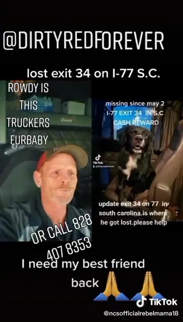 Lost dog in Ridgeway, SC, 29130