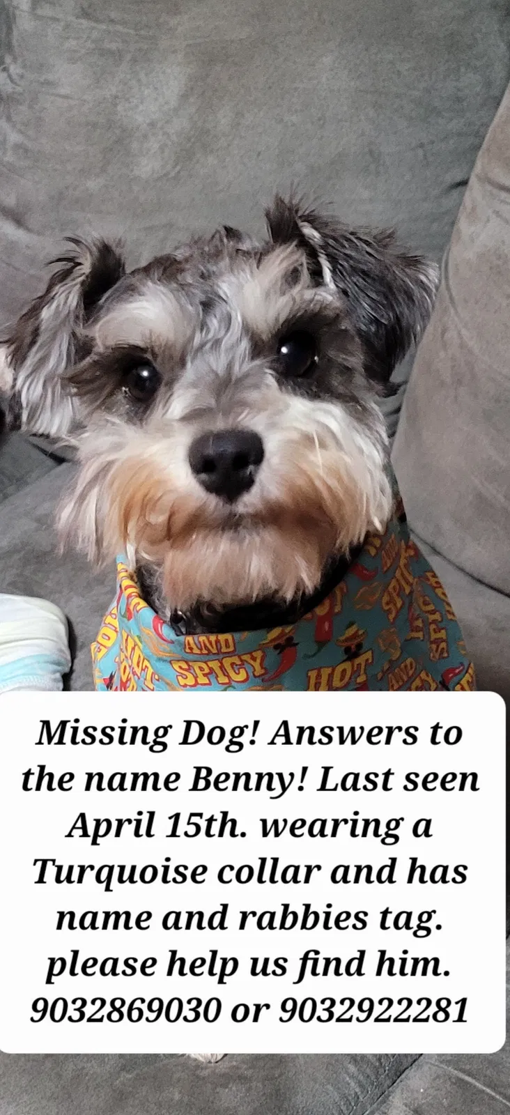Lost dog in Eustace, TX, 75124