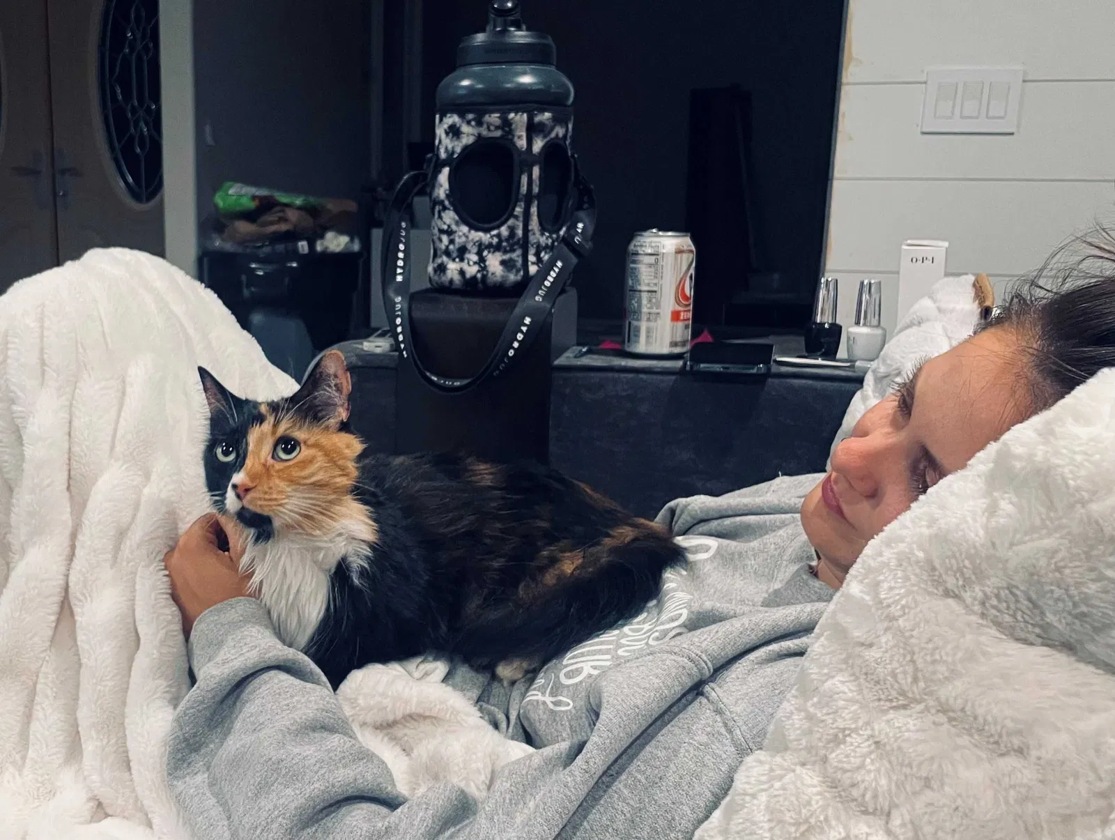 Lost cat in Carmichael, CA, 95608