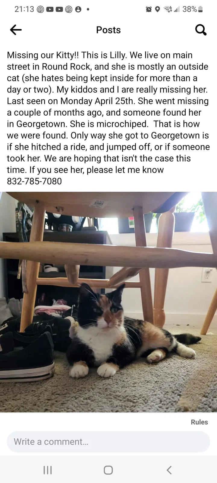 Lost cat in Round Rock, TX, 78664