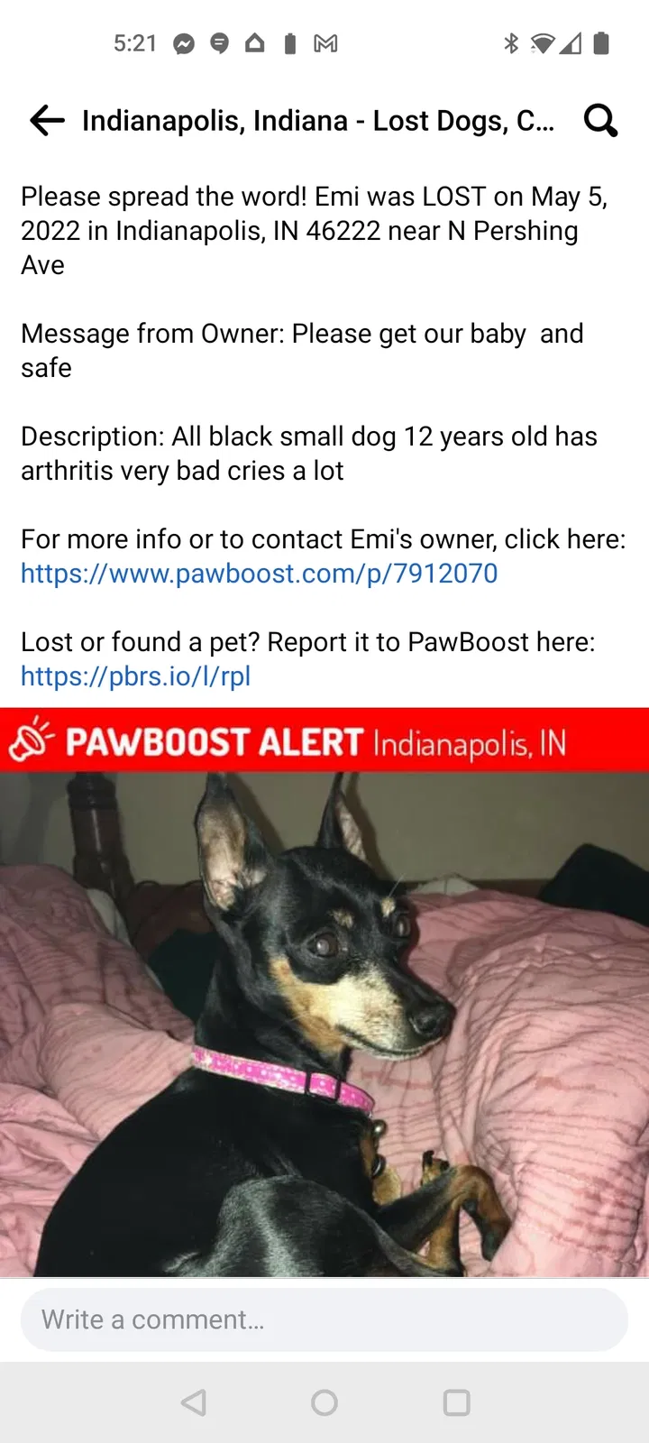 Lost dog in Indianapolis, IN, 46222