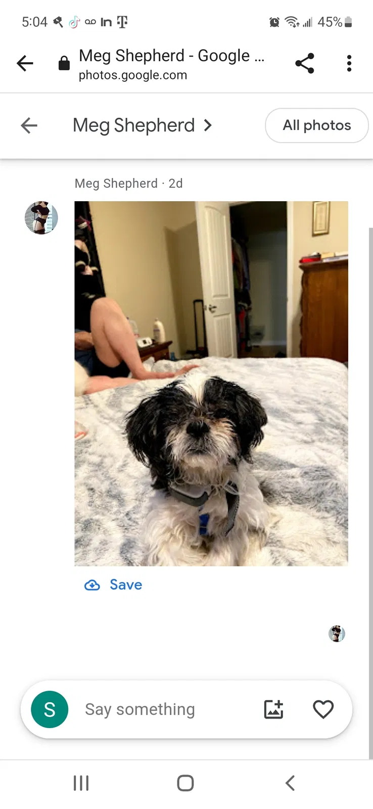 Lost dog in Tucson, AZ, 85716