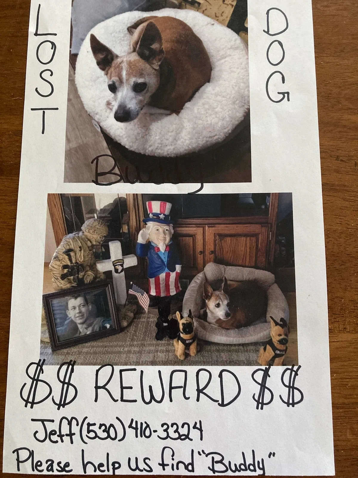 Lost dog in Anderson, CA, 96007