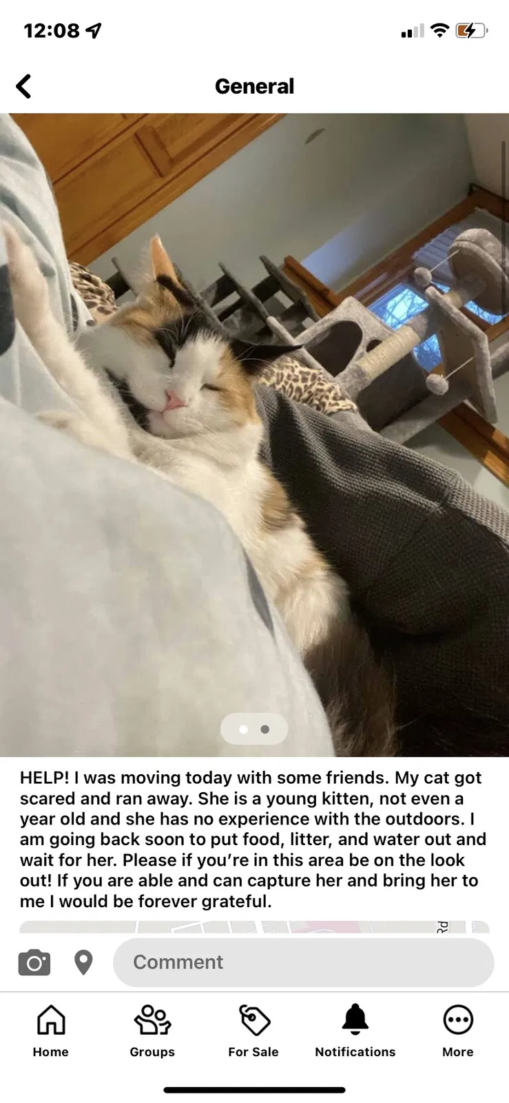 Lost cat in Clinton, MA, 1510