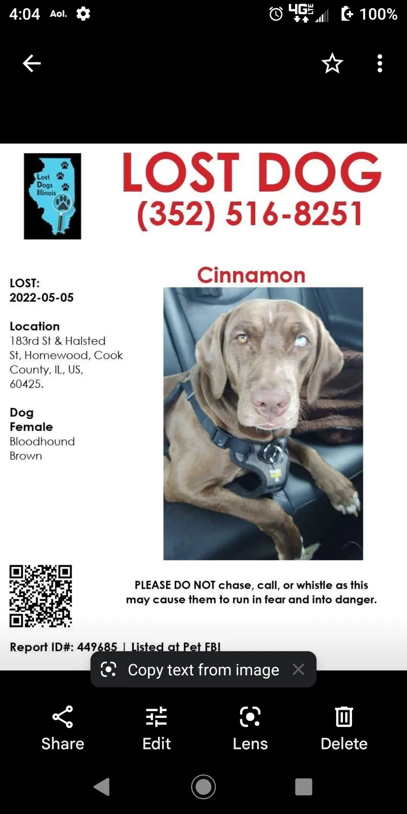 Lost dog in Glenwood, IL, 60425