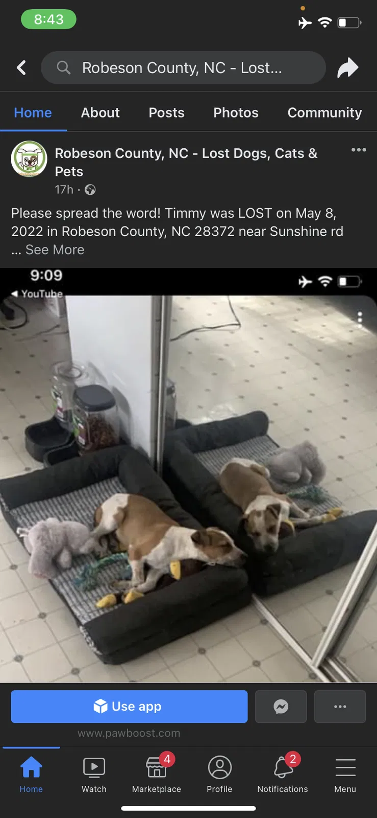 Lost dog in Pembroke, NC, 28372