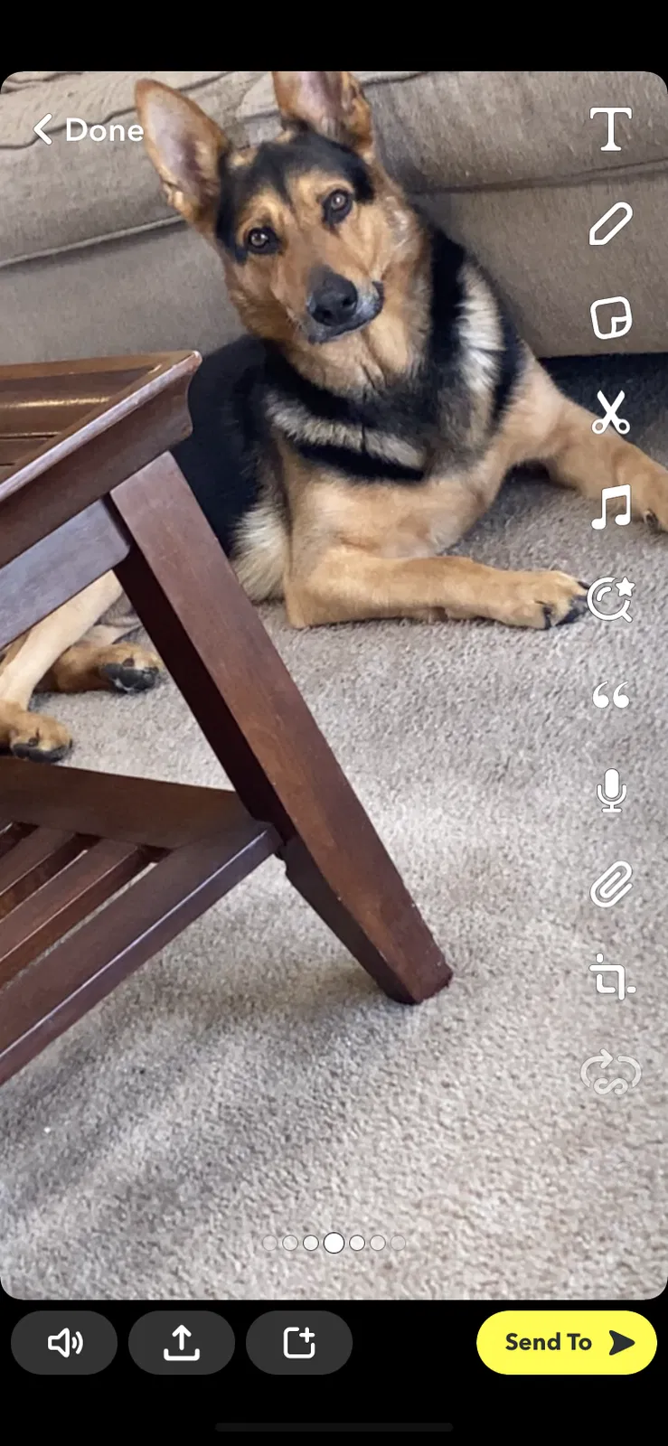 Lost dog in Colorado Springs, CO, 80906