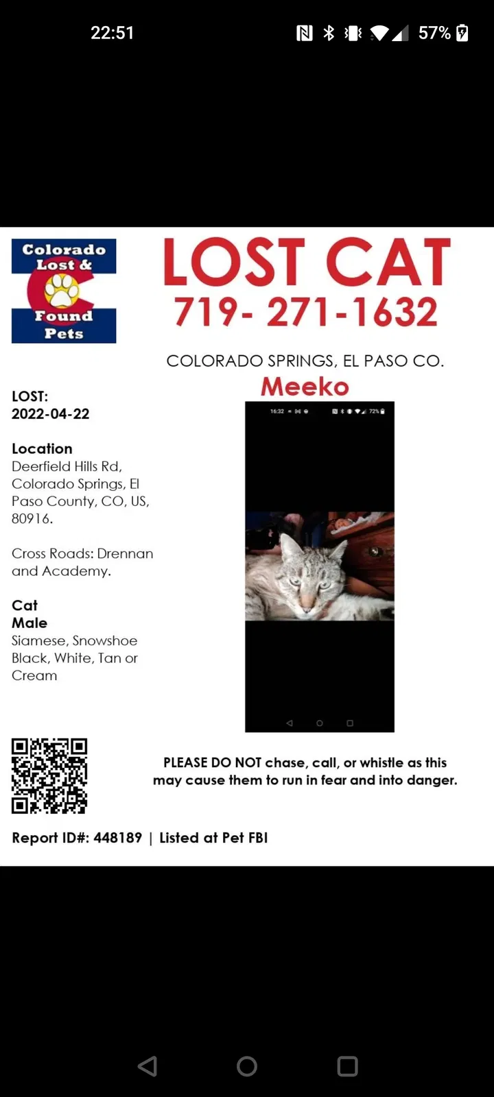 Lost cat in Colorado Springs, CO, 80916