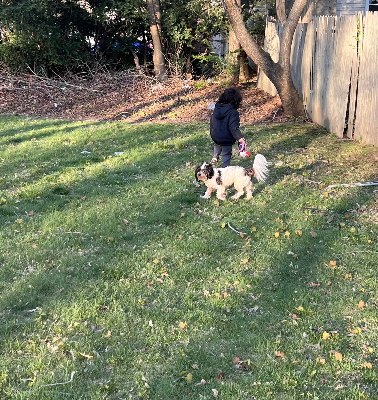 Lost dog in Brentwood, NY, 11717