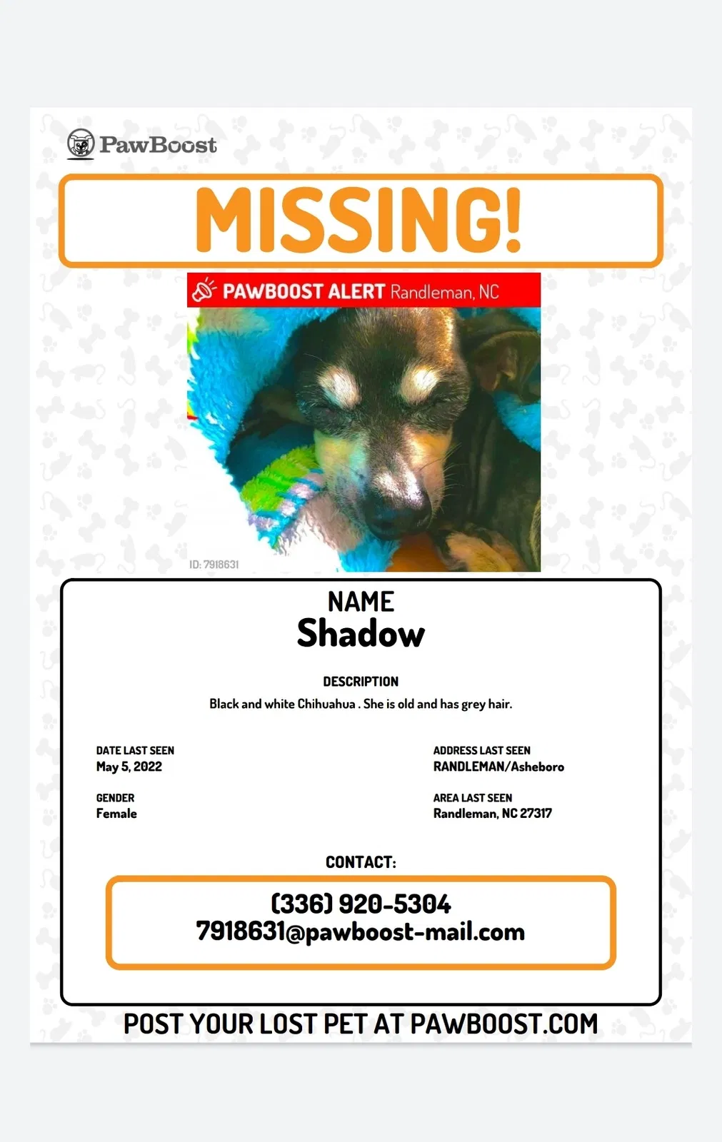 Lost dog in Randleman, NC, 27317