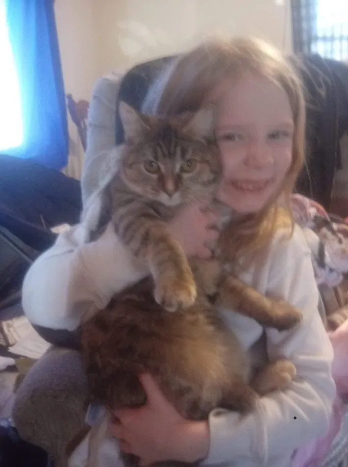 Lost cat in Marion, IN, 46953