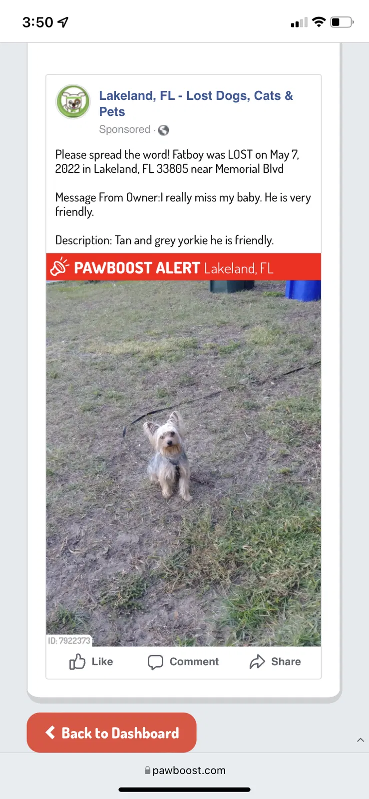 Lost dog in Lakeland, FL, 33805