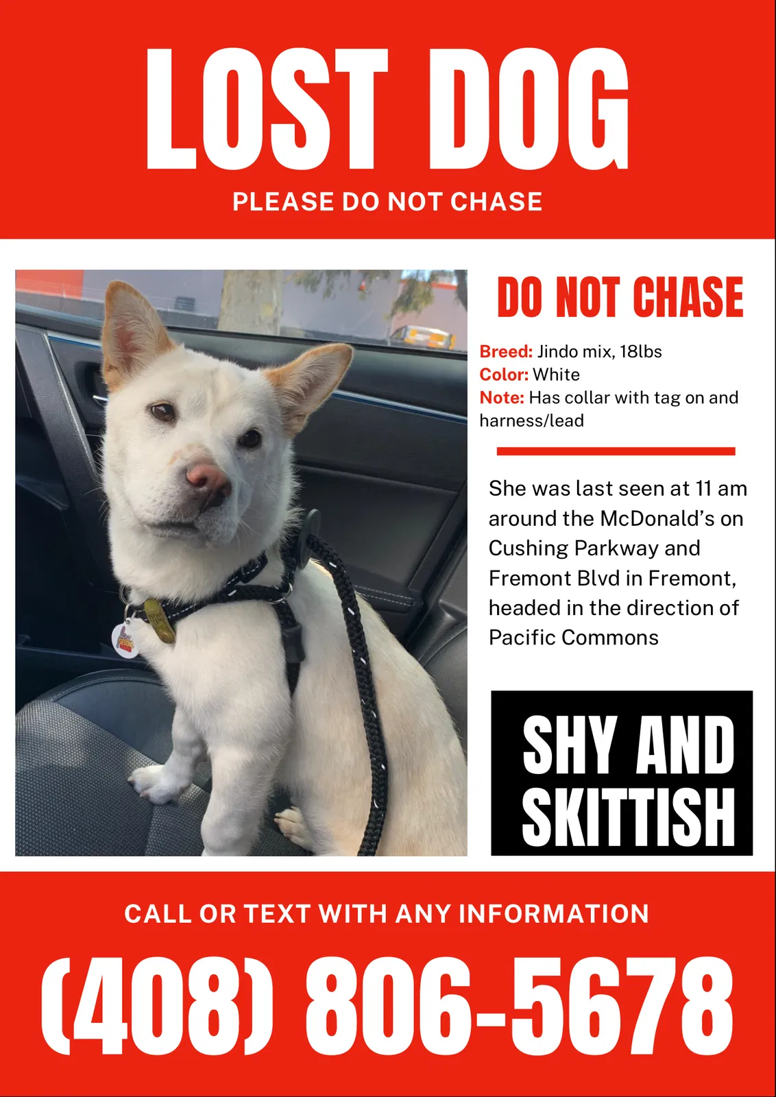 Lost dog in Fremont, CA, 94538