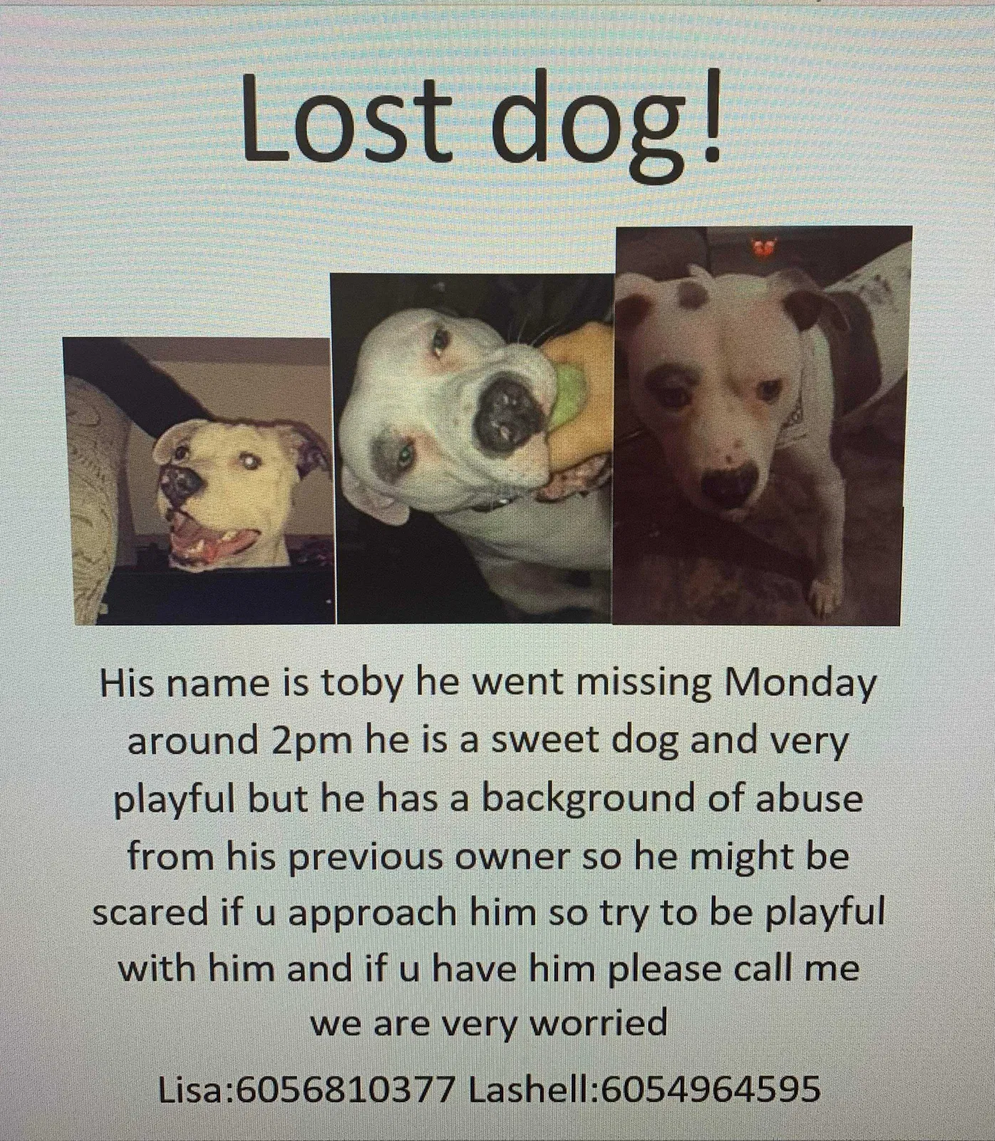 Lost dog in Sioux Falls, SD, 57106