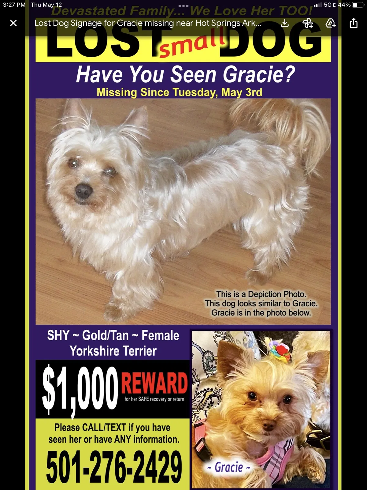 Lost dog in Hot Springs National Park, AR, 71901