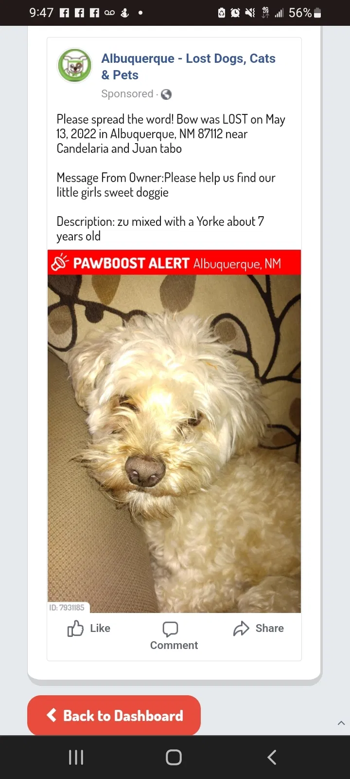 Lost dog in Albuquerque, NM, 87112
