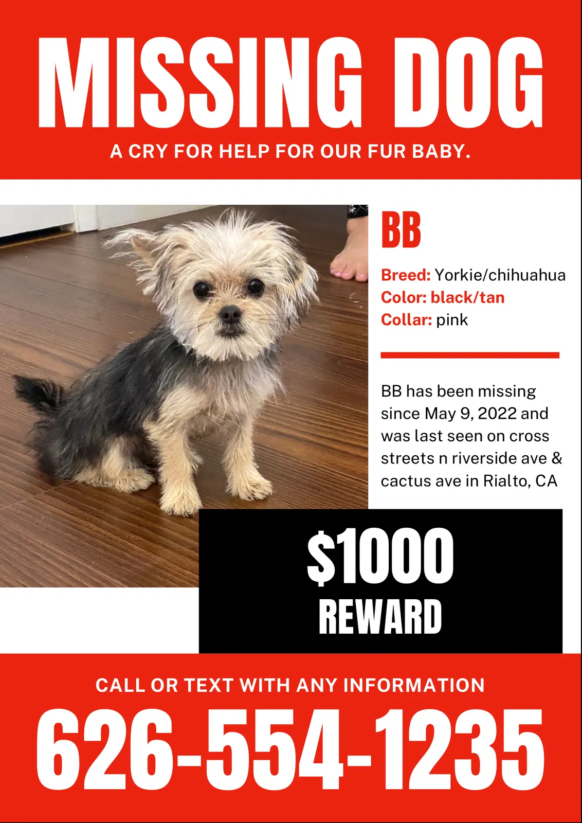 Lost dog in Rialto, CA, 92377