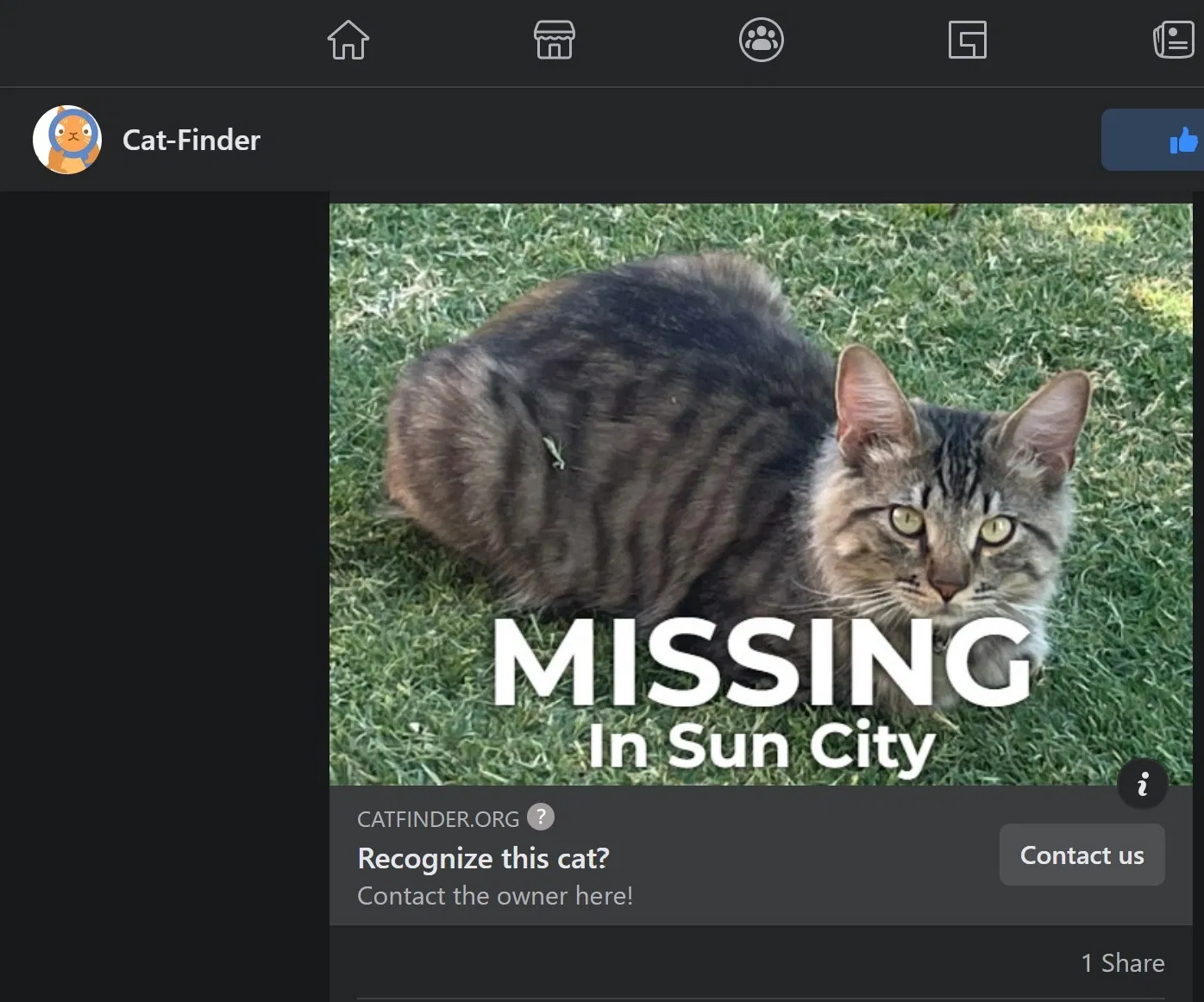 Lost cat in Sun City, AZ, 85351