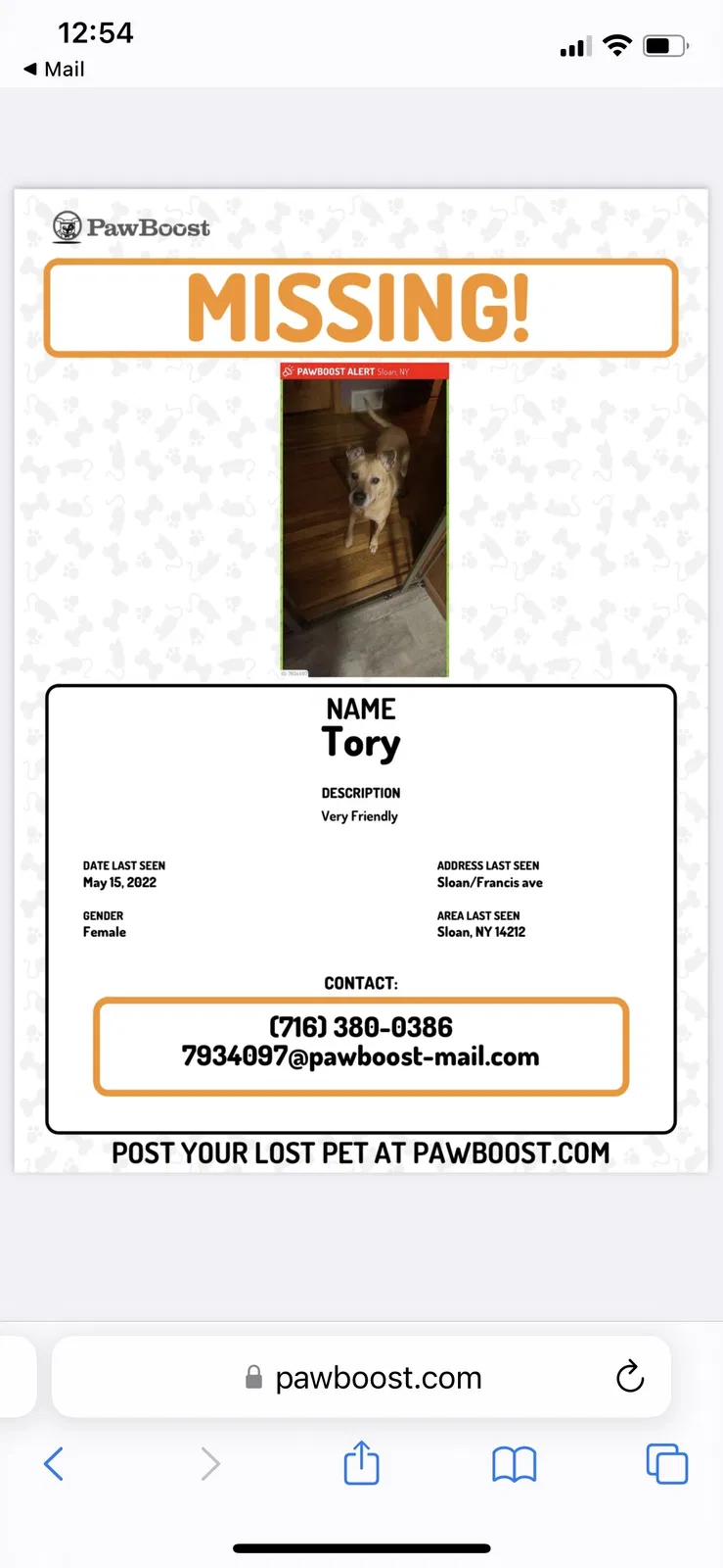 Lost dog in Buffalo, NY, 14212