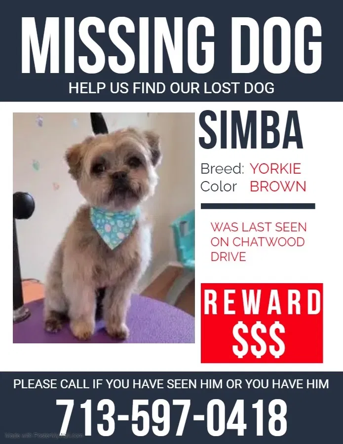 Lost dog in Houston, TX, 77078