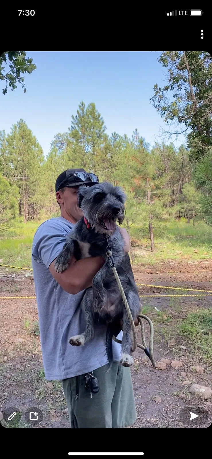 Lost dog in Glendale, AZ, 85308