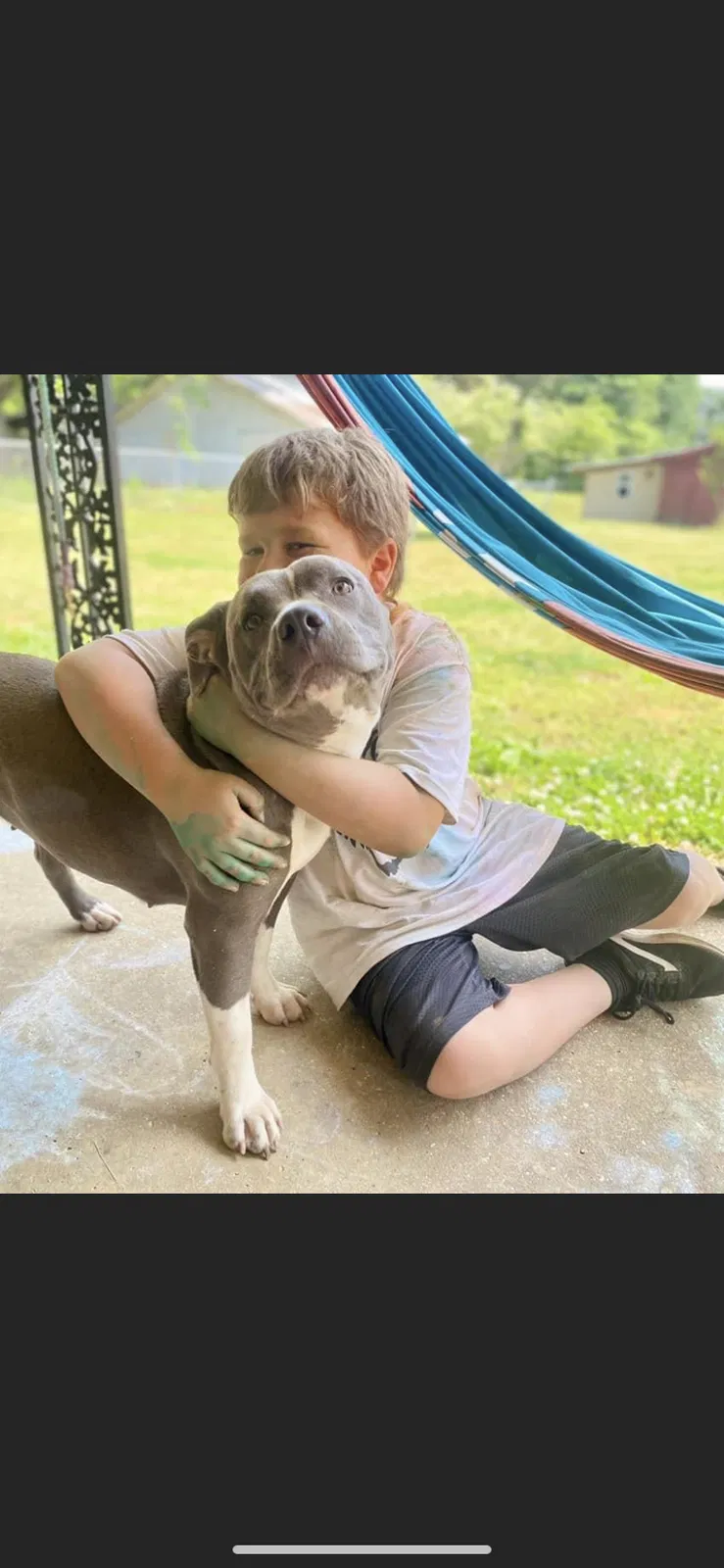 Lost dog in Booneville, MS, 38829