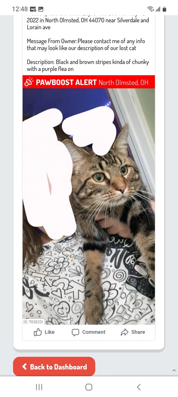 Lost cat in North Olmsted, OH, 44070