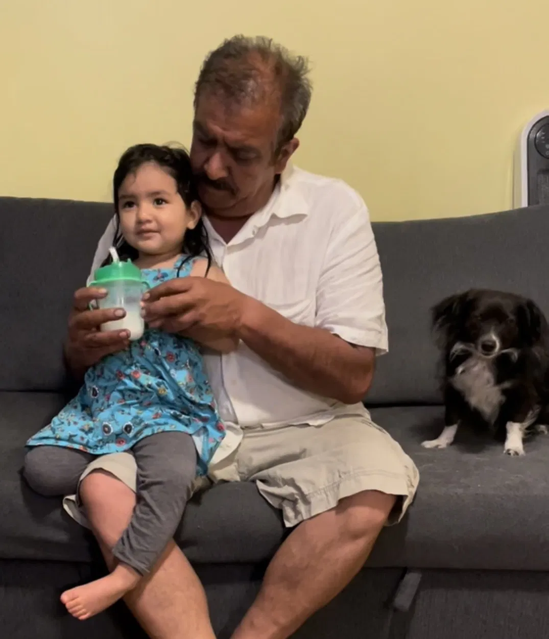 Lost dog in Santa Ana, CA, 92703