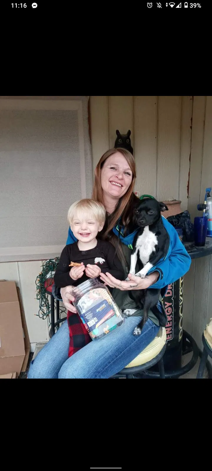 Lost dog in Pine, AZ, 85544