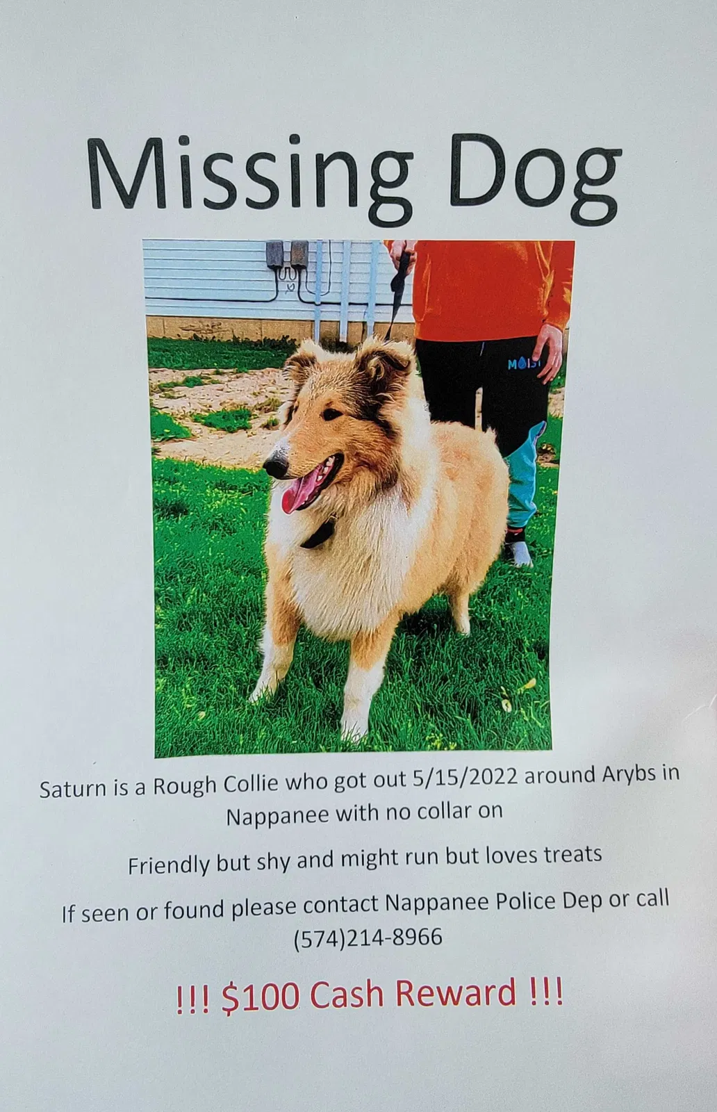 Lost dog in Pierceton, IN, 46562