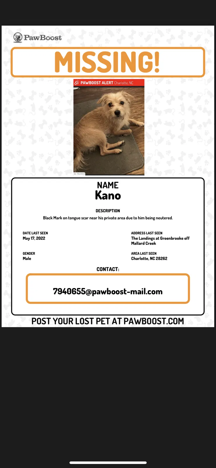 Lost dog in Charlotte, NC, 28262