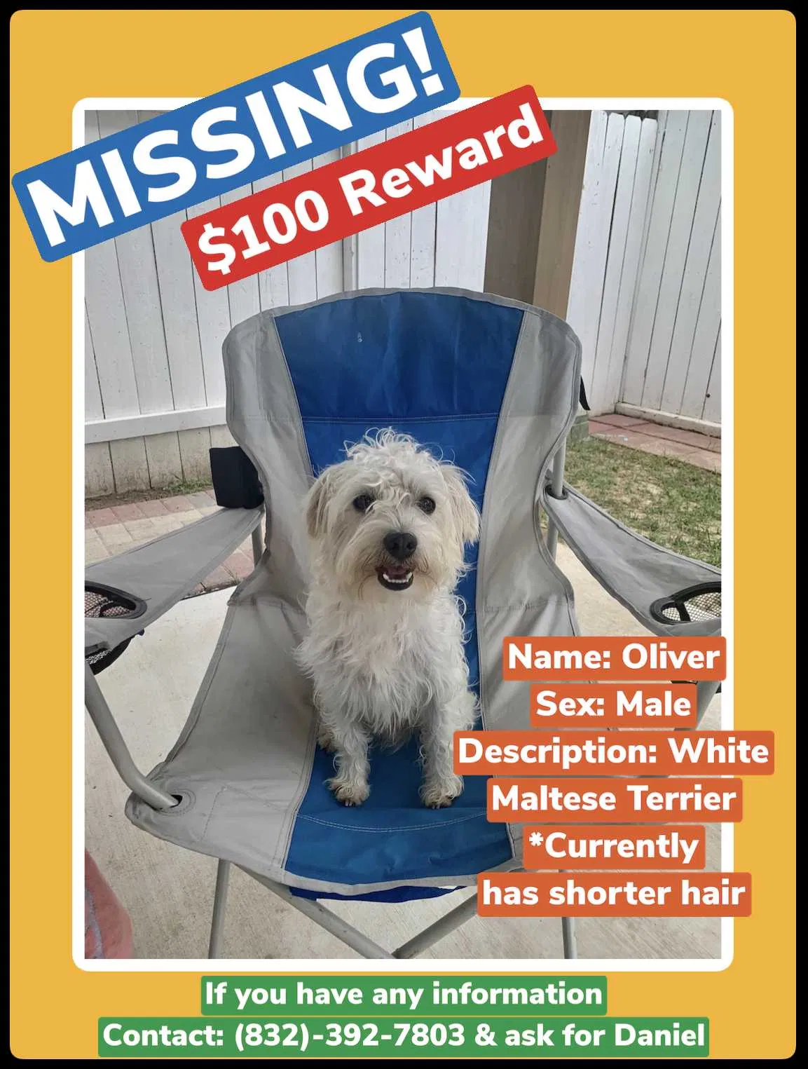Lost dog in Katy, TX, 77493