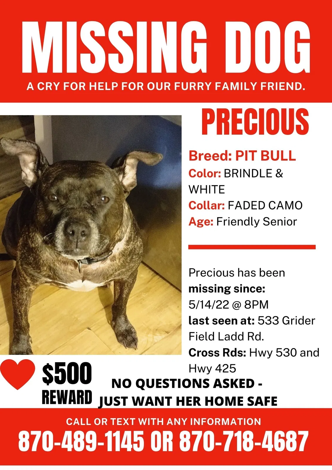Lost dog in Pine Bluff, AR, 71601