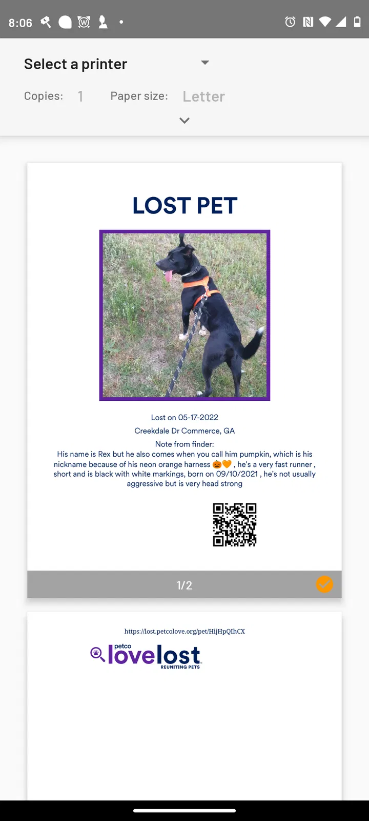 Lost dog in Commerce, GA, 30529